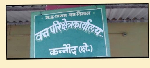 पिकअप वाहन में सागवान की लकड़ी  नहीं पत्ते भर थे,, डिप्टी डेंजर
