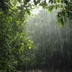 টানা দু’দিন অতি প্রবল বর্ষণের লাল সতর্কতা দার্জিলিঙে, উত্তরবঙ্গ জুড়ে দুর্যোগ, কলকাতায় কবে কতটা বৃষ্টি?